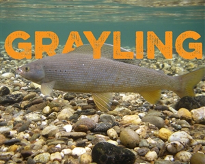 Grayling Fishing Lure Kit, Northern Grayling Lure Kit